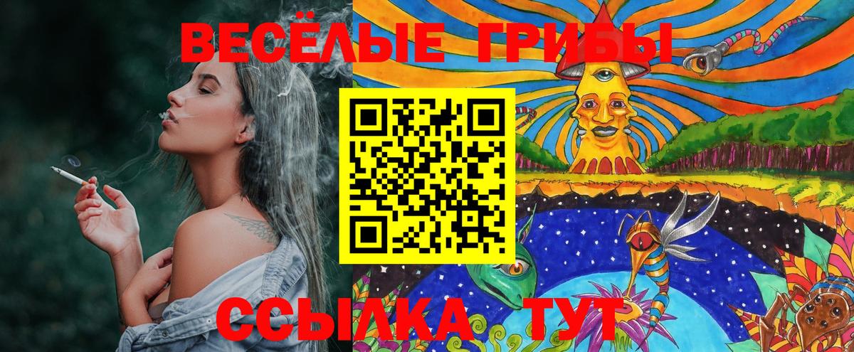 Галлюциногенные грибы Psilocybine cubensis Кулебаки