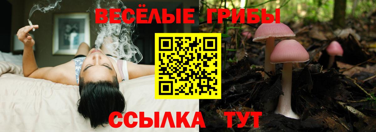 Псилоцибиновые грибы MAGIC MUSHROOMS  Вход с VPN  Галлюциногенные грибы Psilocybe  Кулебаки 